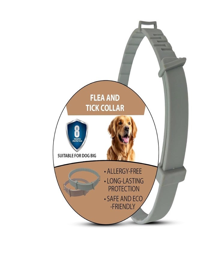 CRAZYABBS Flea and Tick Collar - 8 Month Protection Adjustable Waterproof Collar for Dog Puppy Kitten Cats, Natural & Safe Efficiently Repell Locust Lice of Pets - Image 1